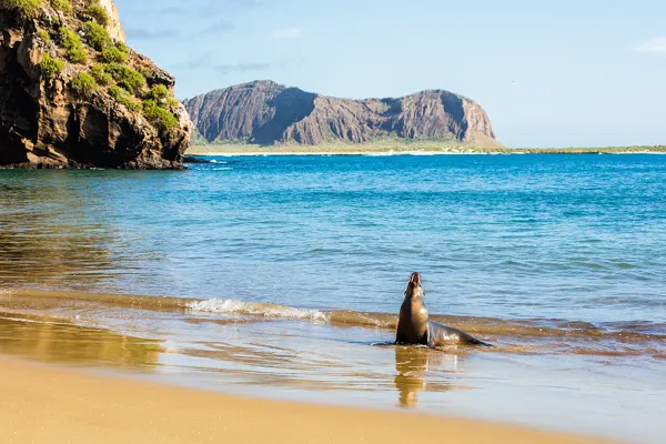 Galápagos Adaları